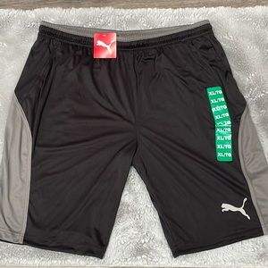 Puma- mens short